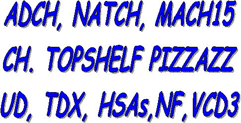 MACH6, CH. NATCH
TOPSHELF PIZZAZZ 
CDX, TDX, HIC  "VCD2"
